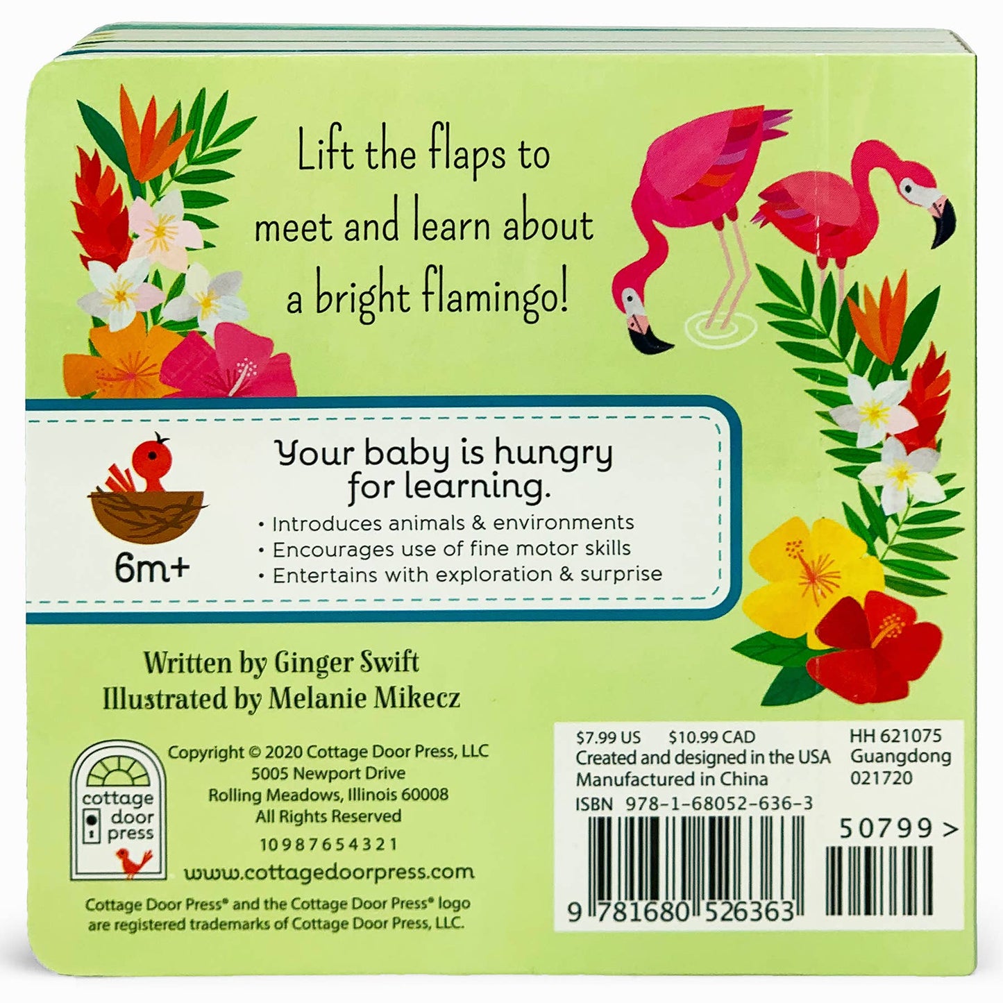 What Is A Flamingo? Bird Lift a Flap Board Book