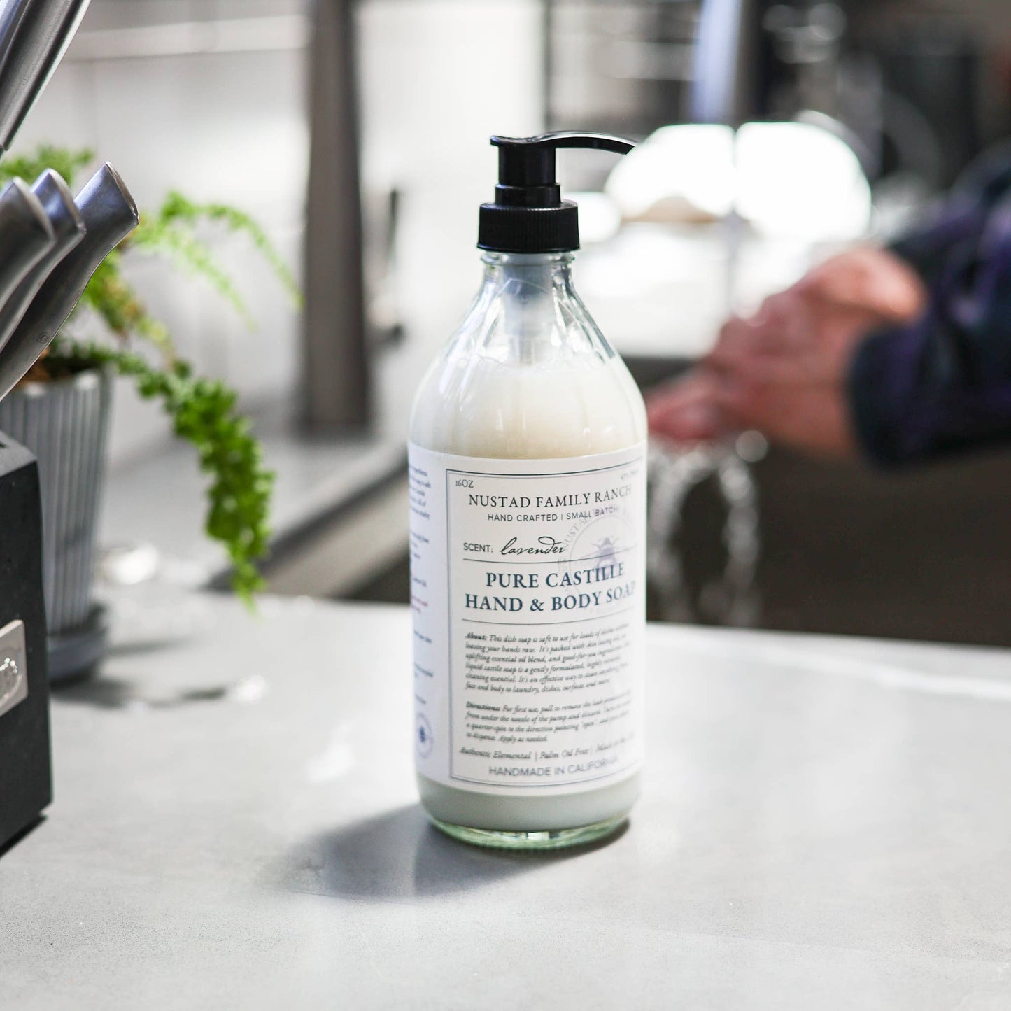 Pure Castile Hand & Body Soap: Fragrance Free