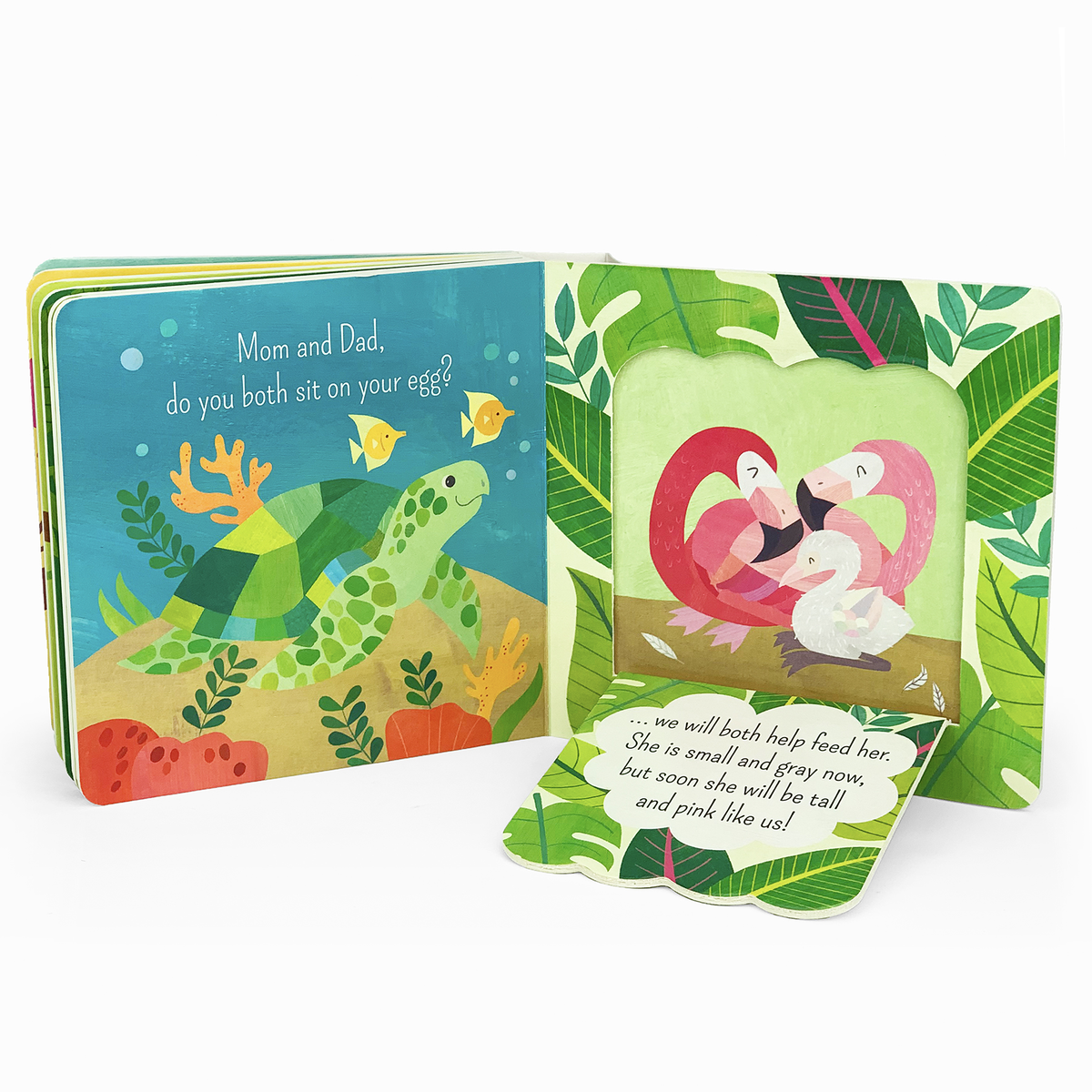 What Is A Flamingo? Bird Lift a Flap Board Book