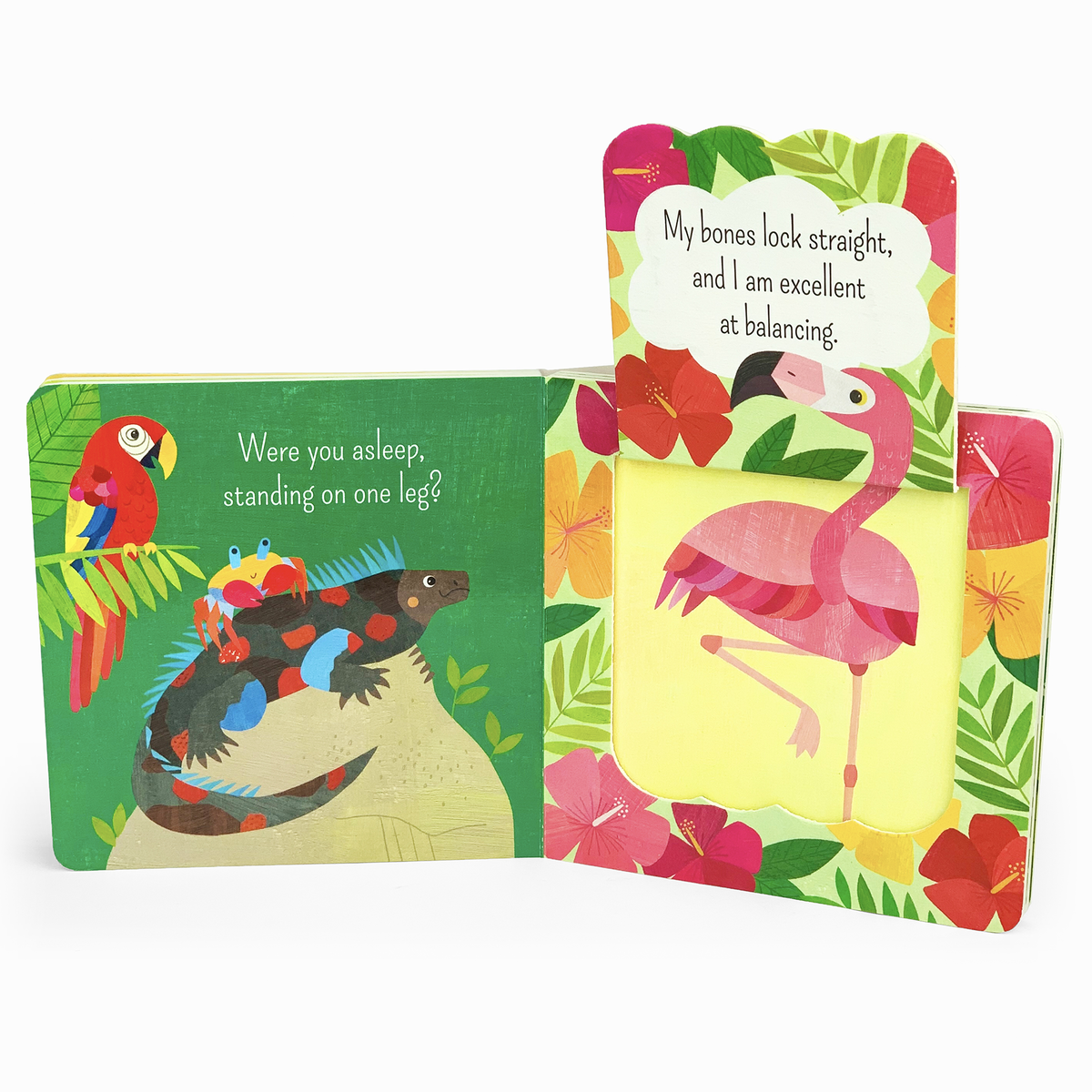 What Is A Flamingo? Bird Lift a Flap Board Book