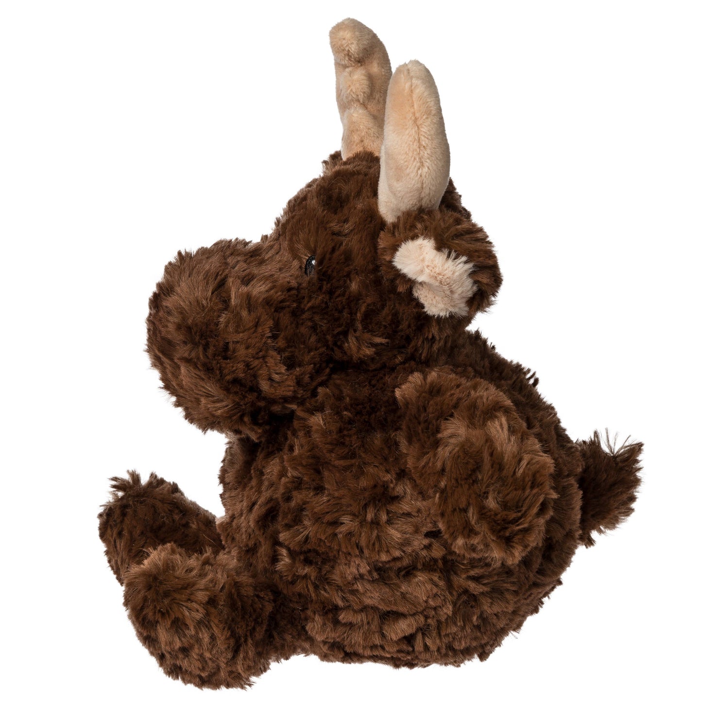 Again Friends Sprouts Moose 