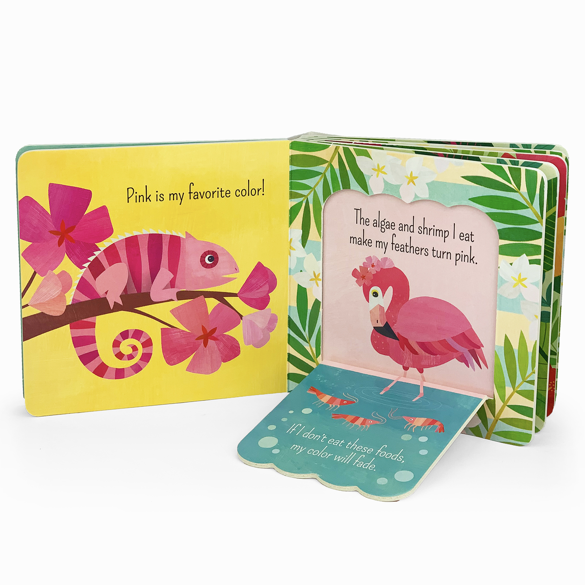 What Is A Flamingo? Bird Lift a Flap Board Book